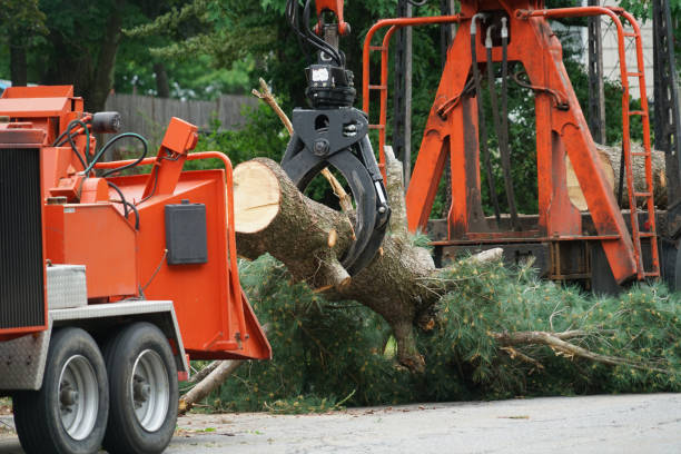 Lawn Drainage Solutions in Blossburg, PA